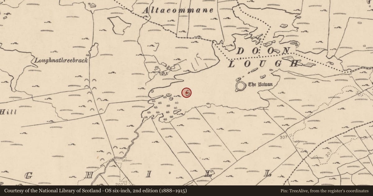 Ordnance Survey six-inch map, 2nd edition (1888–1915) covering the location of Ringfort - cashel, Drumboghill, County Donegal, with a pin at the register's coordinates
