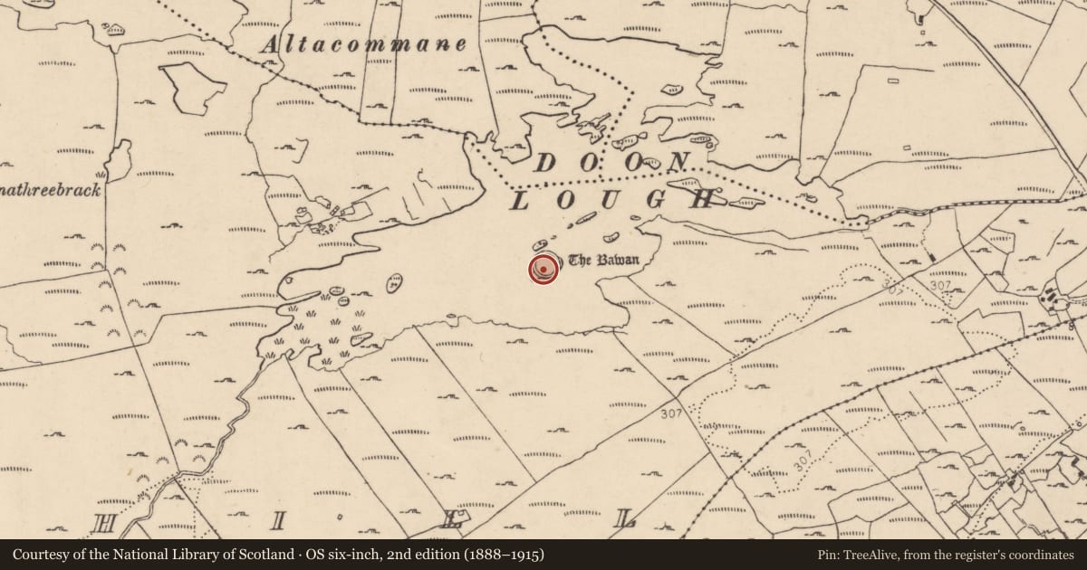 Ordnance Survey six-inch map, 2nd edition (1888–1915) covering the location of Ringfort - cashel, Drumboghill, County Donegal, with a pin at the register's coordinates