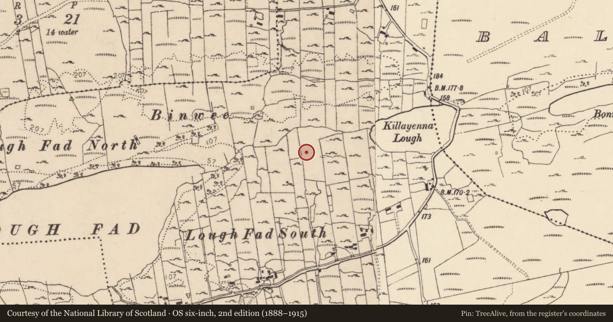 Ordnance Survey six-inch map, 2nd edition (1888–1915) covering the location of Cist, Loughfad, County Donegal, with a pin at the register's coordinates