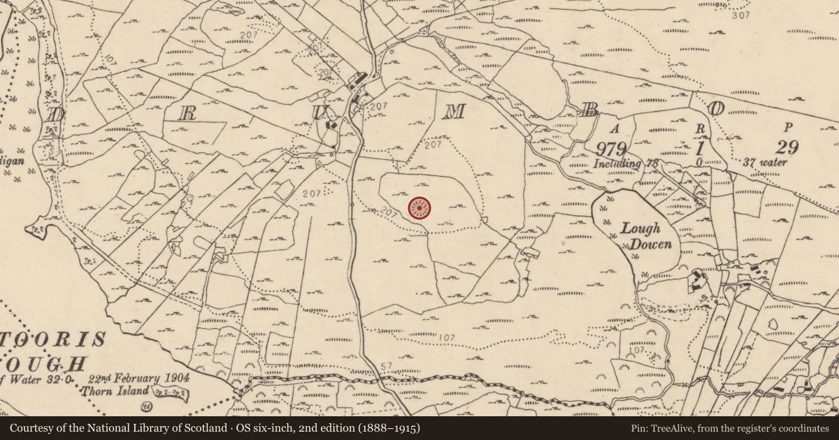 Ordnance Survey six-inch map, 2nd edition (1888–1915) covering the location of Ringfort - cashel, Drumboghill, County Donegal, with a pin at the register's coordinates