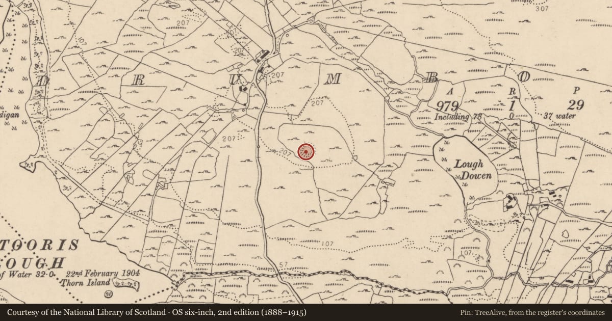 Ordnance Survey six-inch map, 2nd edition (1888–1915) covering the location of Structure, Drumboghill, County Donegal, with a pin at the register's coordinates