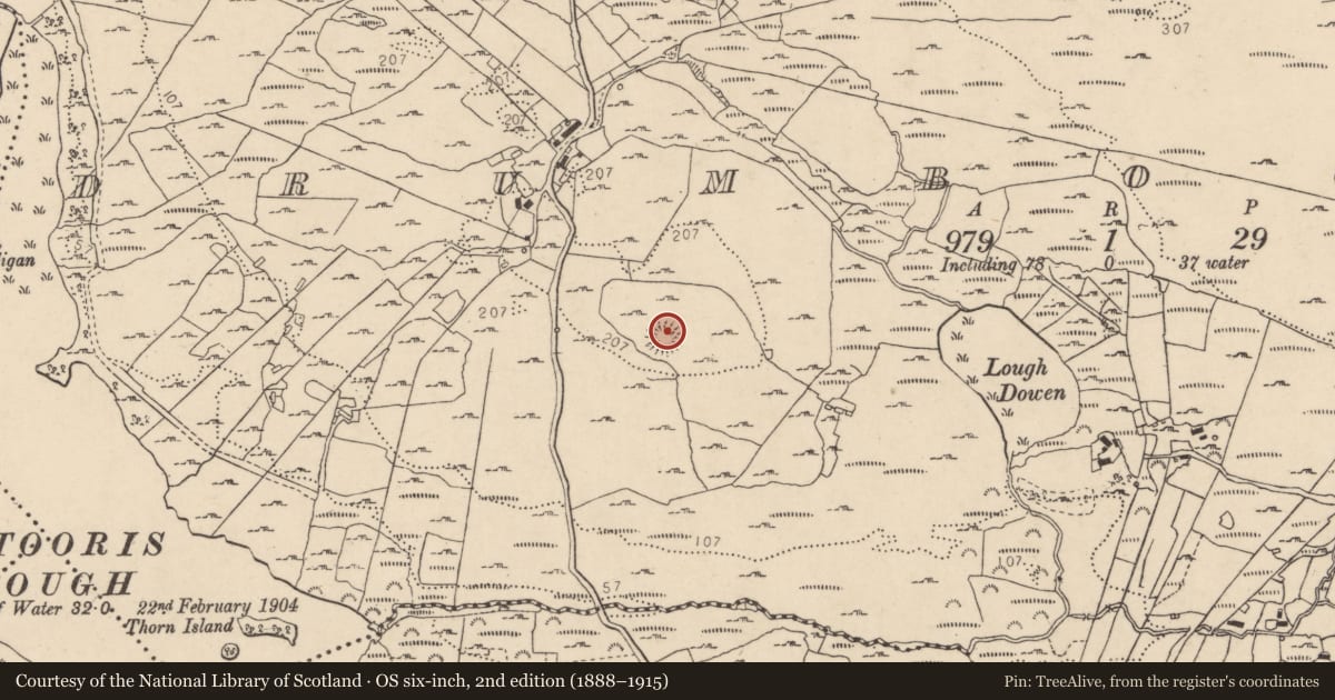Ordnance Survey six-inch map, 2nd edition (1888–1915) covering the location of Cairn - unclassified, Drumboghill, County Donegal, with a pin at the register's coordinates