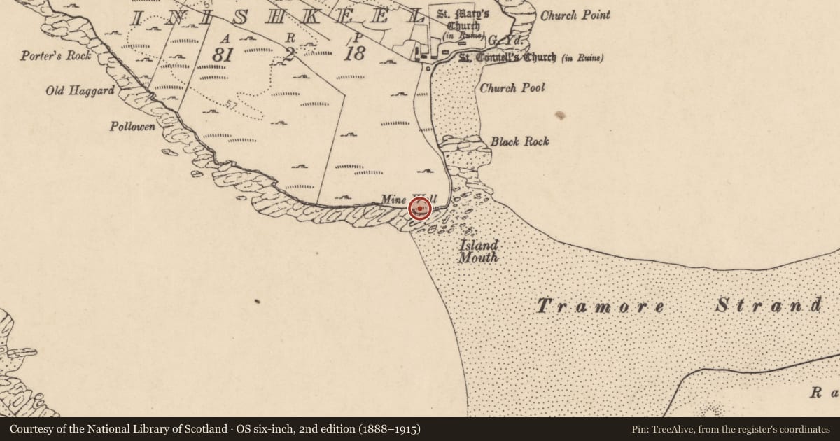 Ordnance Survey six-inch map, 2nd edition (1888–1915) covering the location of Mine, Ionascail, County Donegal, with a pin at the register's coordinates
