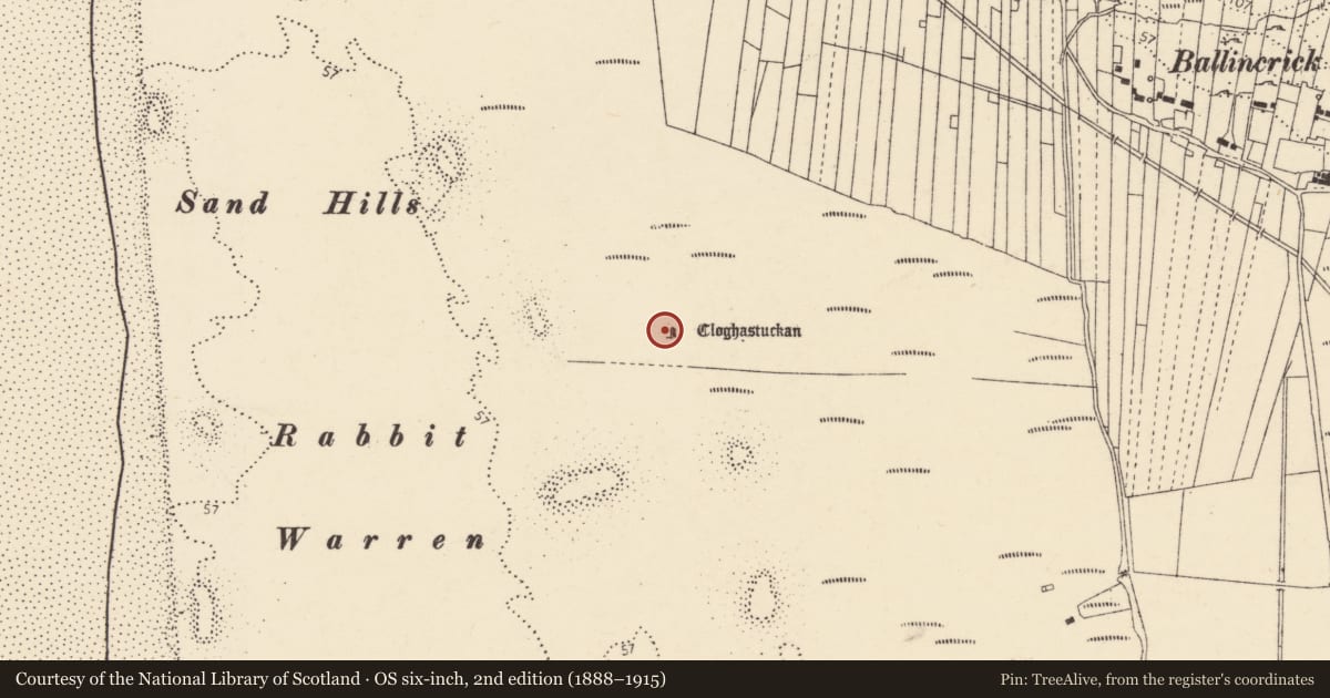 Ordnance Survey six-inch map, 2nd edition (1888–1915) covering the location of Burial mound, An Dumhaigh (TC Leitir Mhic an Bhaird), County Donegal, with a pin at the register's coordinates
