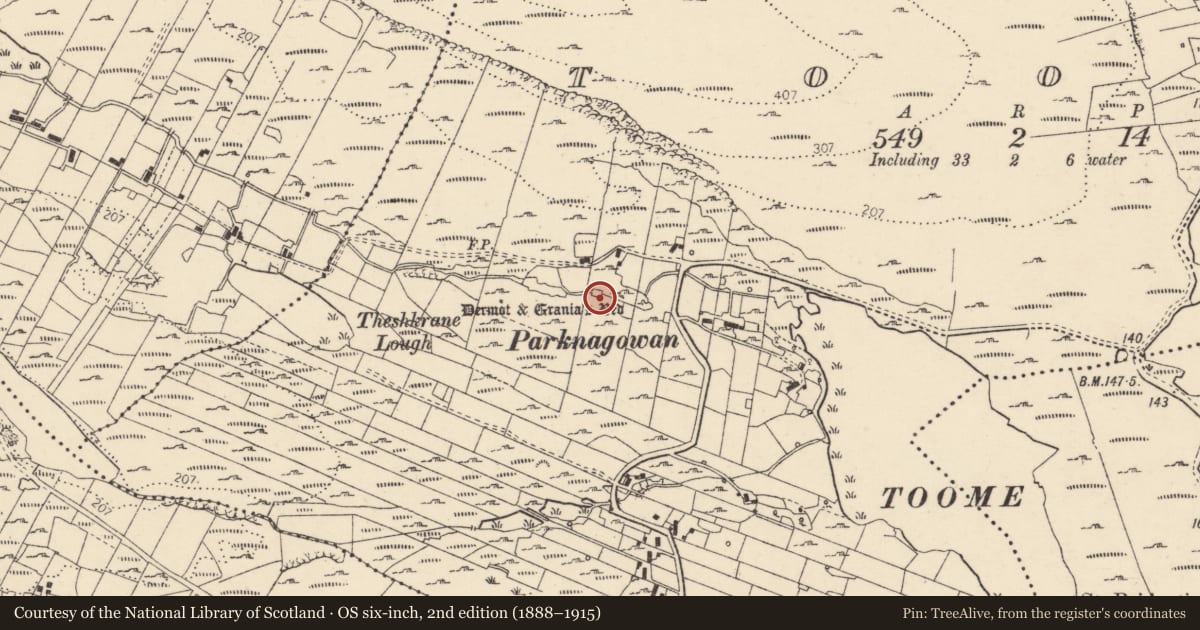 Ordnance Survey six-inch map, 2nd edition (1888–1915) covering the location of Cross-slab, Tuaim (TC Leitir Mhic an Bhaird), County Donegal, with a pin at the register's coordinates