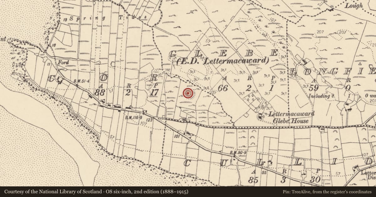 Ordnance Survey six-inch map, 2nd edition (1888–1915) covering the location of Ringfort - cashel, An Chorr, County Donegal, with a pin at the register's coordinates