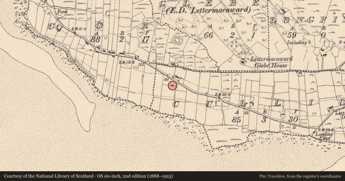 Ordnance Survey six-inch map, 2nd edition (1888–1915) covering the location of Ringfort - unclassified, An Coillín (TC Leitir Mhic an Bhaird), County Donegal, with a pin at the register's coordinates