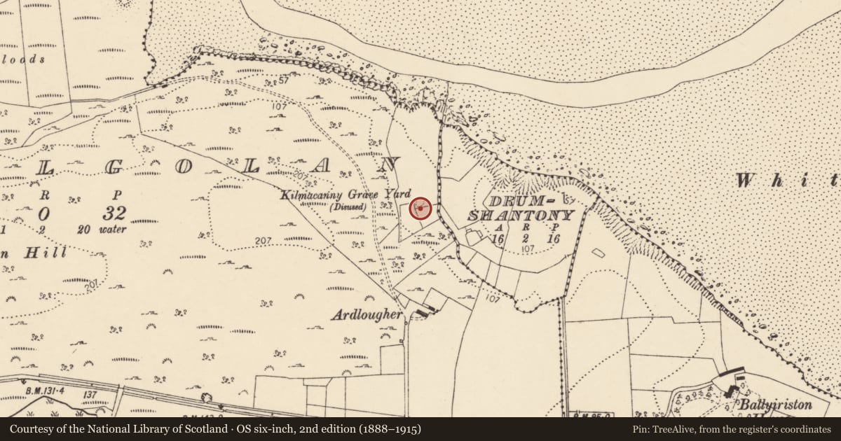 Ordnance Survey six-inch map, 2nd edition (1888–1915) covering the location of Cross-slab, Cashelgolan, County Donegal, with a pin at the register's coordinates
