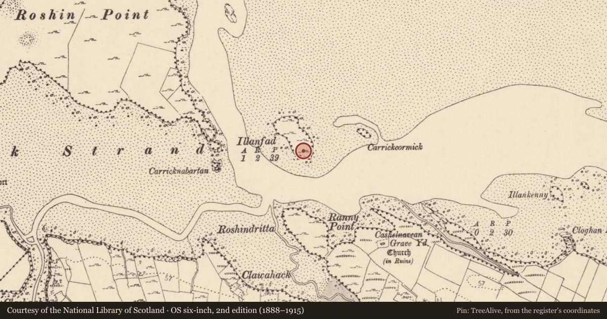 Ordnance Survey six-inch map, 2nd edition (1888–1915) covering the location of Ringfort - cashel, Illanfad, County Donegal, with a pin at the register's coordinates