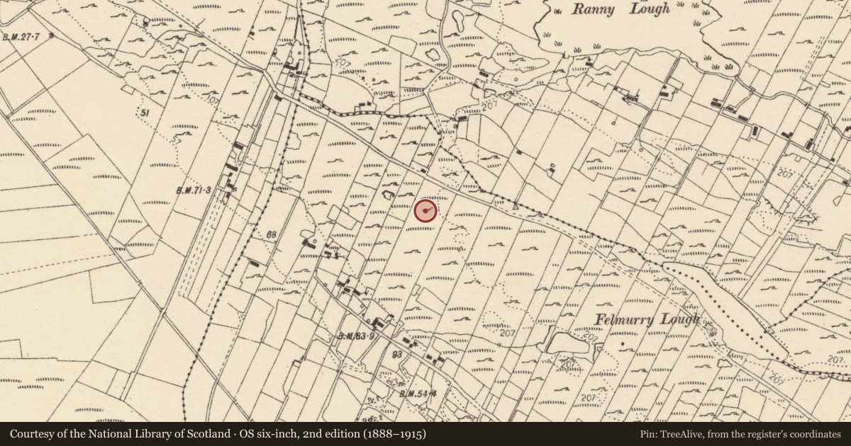 Ordnance Survey six-inch map, 2nd edition (1888–1915) covering the location of Megalithic tomb - court tomb, Na Fargáin (TC Leitir Mhic an Bhaird), County Donegal, with a pin at the register's coordinates