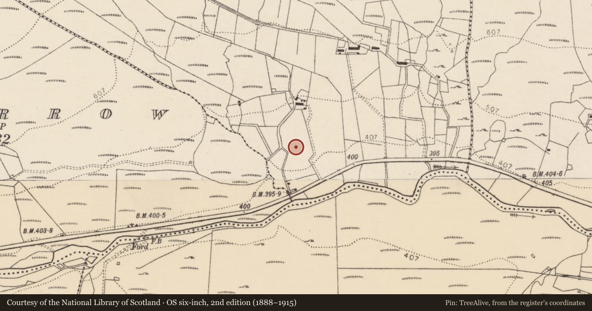 Ordnance Survey six-inch map, 2nd edition (1888–1915) covering the location of Road - road/trackway, County Donegal, with a pin at the register's coordinates