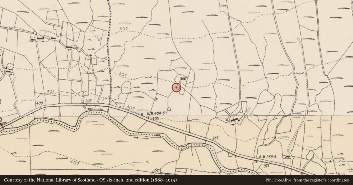 Ordnance Survey six-inch map, 2nd edition (1888–1915) covering the location of Cist, Baile Na Mban, County Donegal, with a pin at the register's coordinates