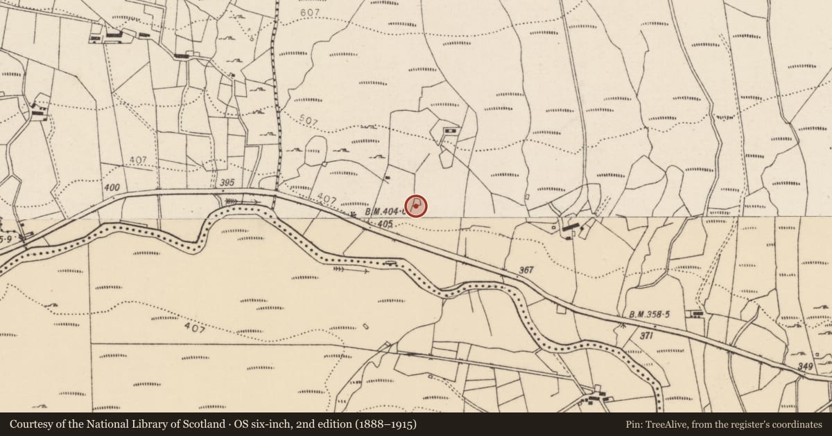 Ordnance Survey six-inch map, 2nd edition (1888–1915) covering the location of Ringfort - cashel, Baile Na Mban, County Donegal, with a pin at the register's coordinates