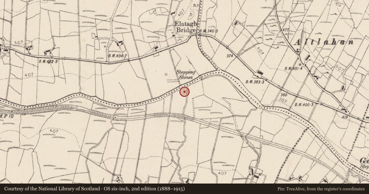 Ordnance Survey six-inch map, 2nd edition (1888–1915) covering the location of Cultivation ridges, Mín An Laig, County Donegal, with a pin at the register's coordinates