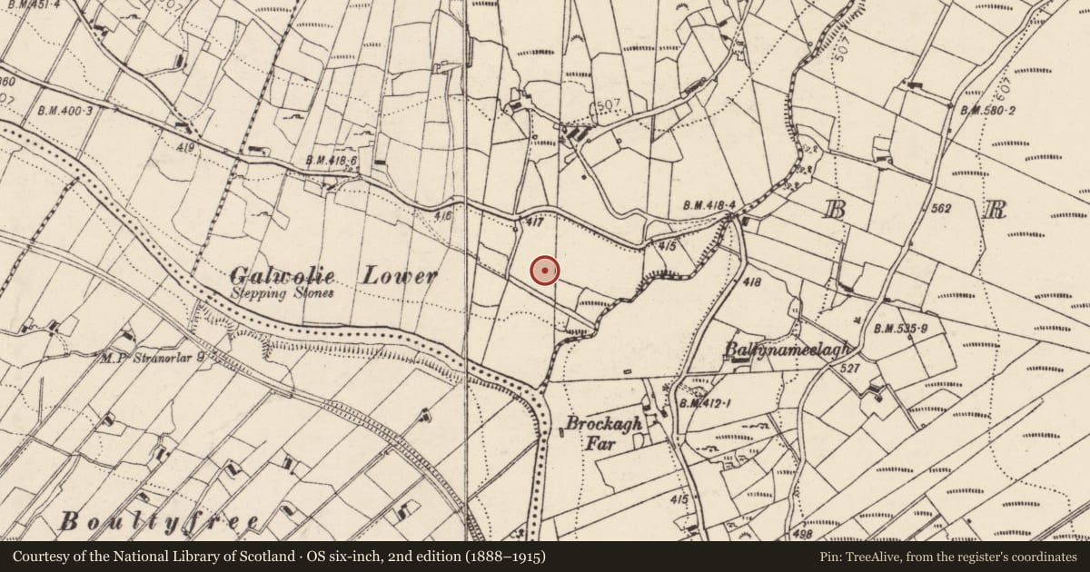 Ordnance Survey six-inch map, 2nd edition (1888–1915) covering the location of Ringfort - unclassified, An Ghallbhuaile (TC An Clochán), County Donegal, with a pin at the register's coordinates
