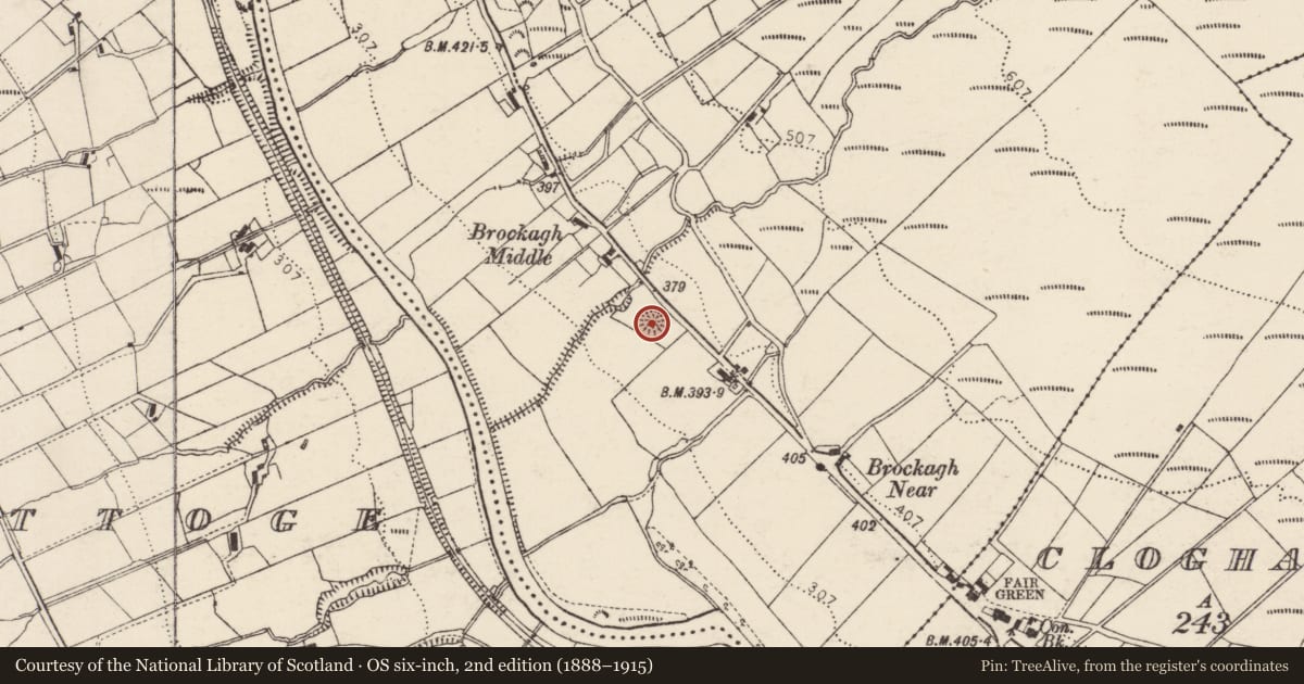 Ordnance Survey six-inch map, 2nd edition (1888–1915) covering the location of Ringfort - rath, An Bhrocaigh (TC An Clochán), County Donegal, with a pin at the register's coordinates