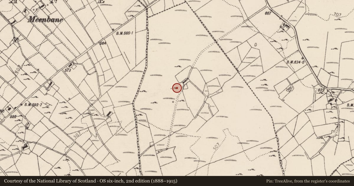 Ordnance Survey six-inch map, 2nd edition (1888–1915) covering the location of Ringfort - cashel, Creggan, County Donegal, with a pin at the register's coordinates