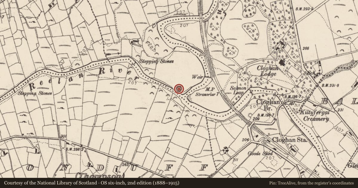 Ordnance Survey six-inch map, 2nd edition (1888–1915) covering the location of Ringfort - rath, An Chluain Chlaíoch, County Donegal, with a pin at the register's coordinates