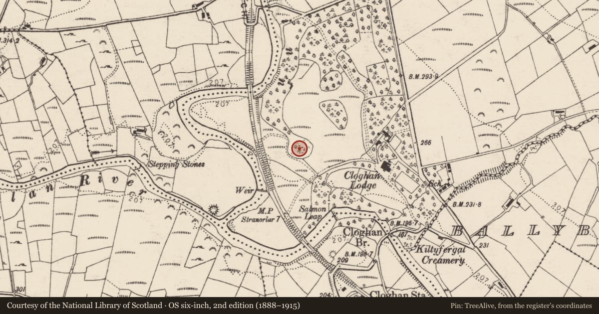 Ordnance Survey six-inch map, 2nd edition (1888–1915) covering the location of Ringfort - rath, Cloghan More, County Donegal, with a pin at the register's coordinates