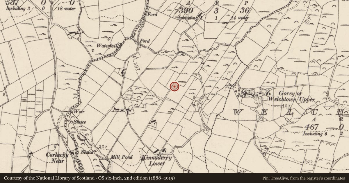 Ordnance Survey six-inch map, 2nd edition (1888–1915) covering the location of Ringfort - cashel, Kinnaderry, County Donegal, with a pin at the register's coordinates