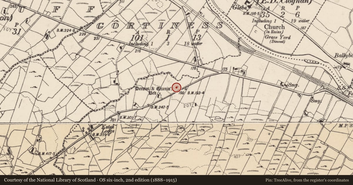 Ordnance Survey six-inch map, 2nd edition (1888–1915) covering the location of Megalithic tomb - unclassified, Ballybobaneen, County Donegal, with a pin at the register's coordinates