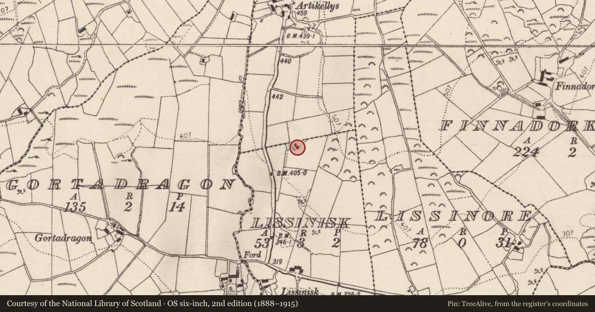 Ordnance Survey six-inch map, 2nd edition (1888–1915) covering the location of Ringfort - rath, Lissinisk, County Donegal, with a pin at the register's coordinates