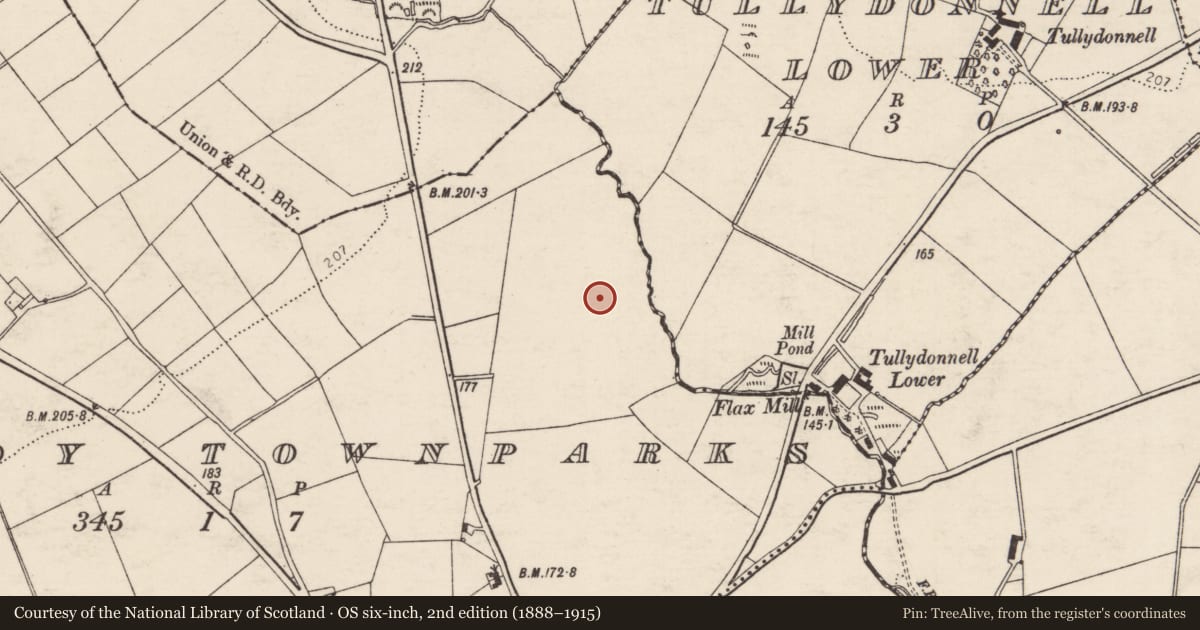 Ordnance Survey six-inch map, 2nd edition (1888–1915) covering the location of Enclosure, Convoy Townparks, County Donegal, with a pin at the register's coordinates
