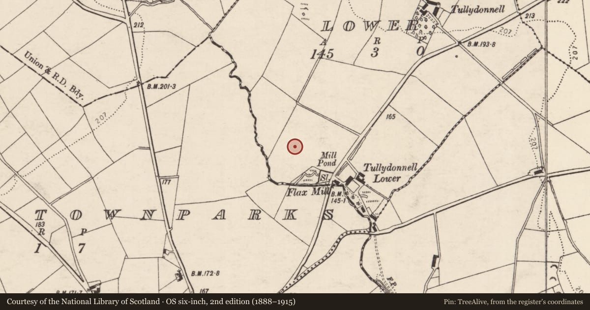 Ordnance Survey six-inch map, 2nd edition (1888–1915) covering the location of Standing stone, Tullydonnell Lower, County Donegal, with a pin at the register's coordinates