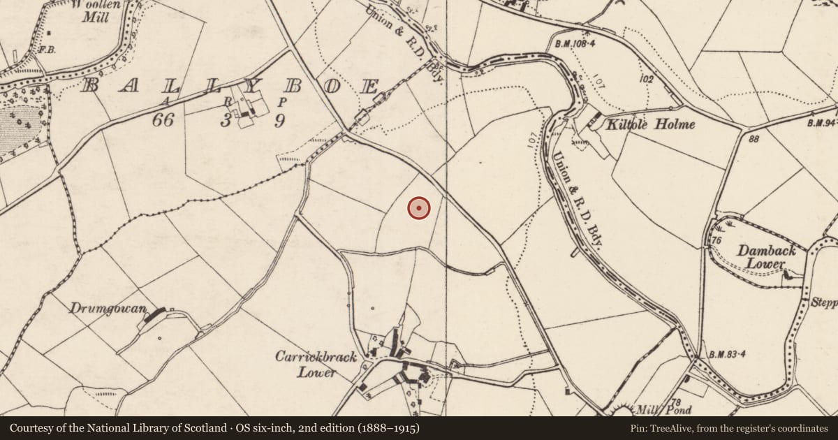 Ordnance Survey six-inch map, 2nd edition (1888–1915) covering the location of Cist, Carrickbrack, County Donegal, with a pin at the register's coordinates