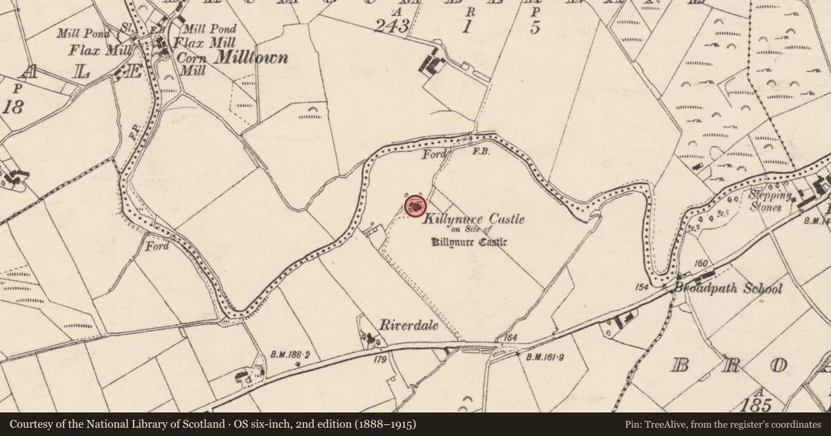 Ordnance Survey six-inch map, 2nd edition (1888–1915) covering the location of Bullaun stone, Killynure Or Wilsons Fort, County Donegal, with a pin at the register's coordinates