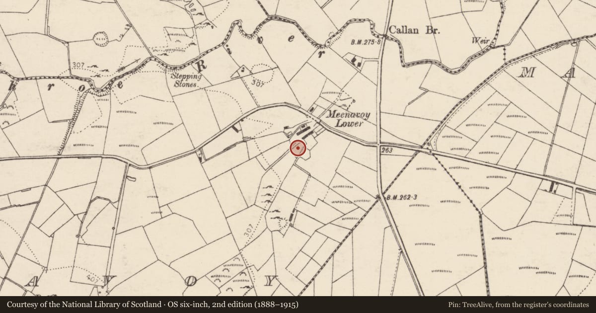 Ordnance Survey six-inch map, 2nd edition (1888–1915) covering the location of Bullaun stone, Meenavoy, County Donegal, with a pin at the register's coordinates