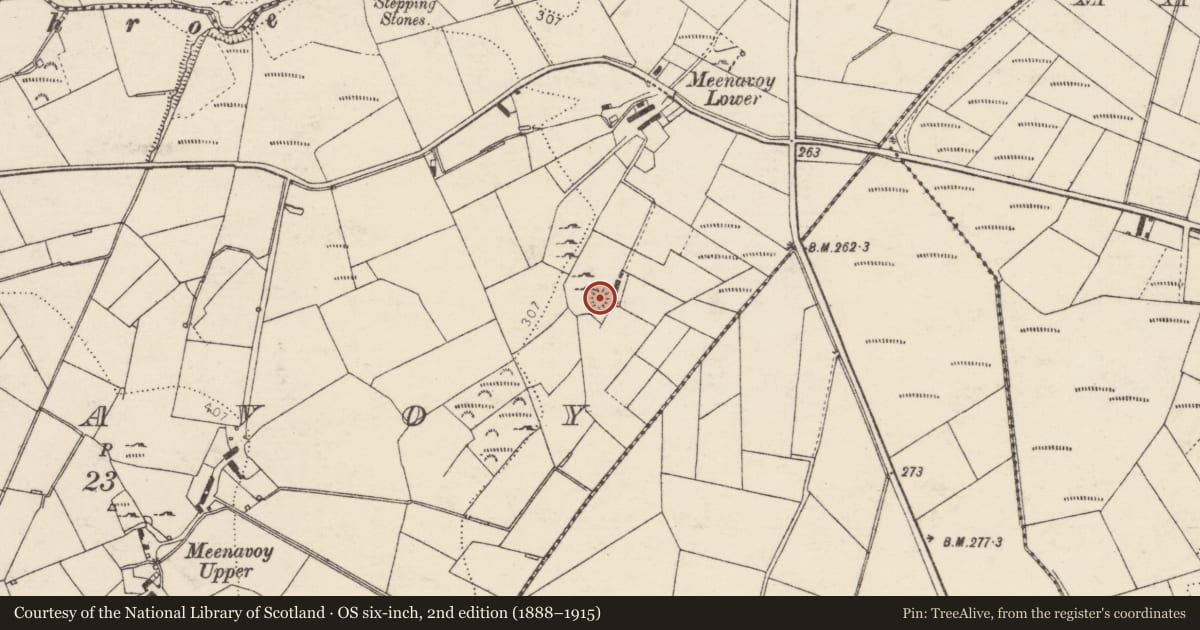 Ordnance Survey six-inch map, 2nd edition (1888–1915) covering the location of Ringfort - unclassified, Meenavoy, County Donegal, with a pin at the register's coordinates