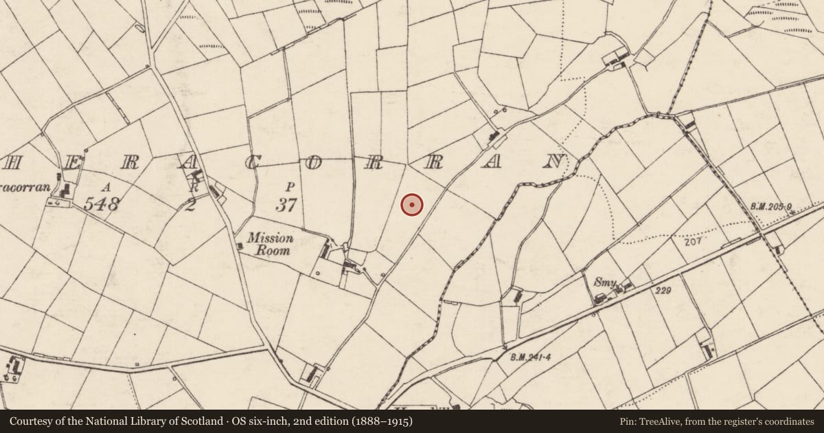 Ordnance Survey six-inch map, 2nd edition (1888–1915) covering the location of Children's burial ground, Magheracorran, County Donegal, with a pin at the register's coordinates