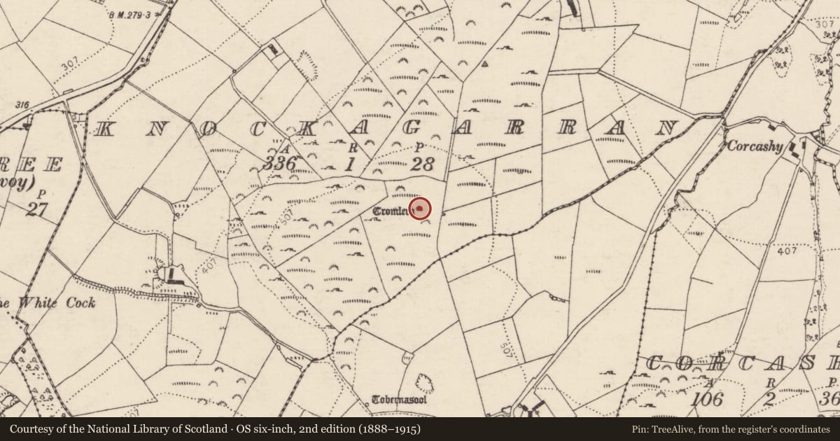 Ordnance Survey six-inch map, 2nd edition (1888–1915) covering the location of Megalithic tomb - unclassified, Knockagarran, County Donegal, with a pin at the register's coordinates