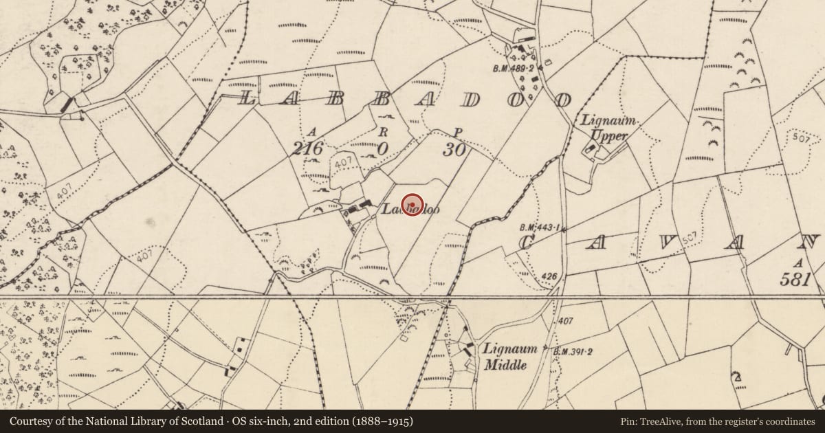 Ordnance Survey six-inch map, 2nd edition (1888–1915) covering the location of Souterrain, Labbadoo, County Donegal, with a pin at the register's coordinates