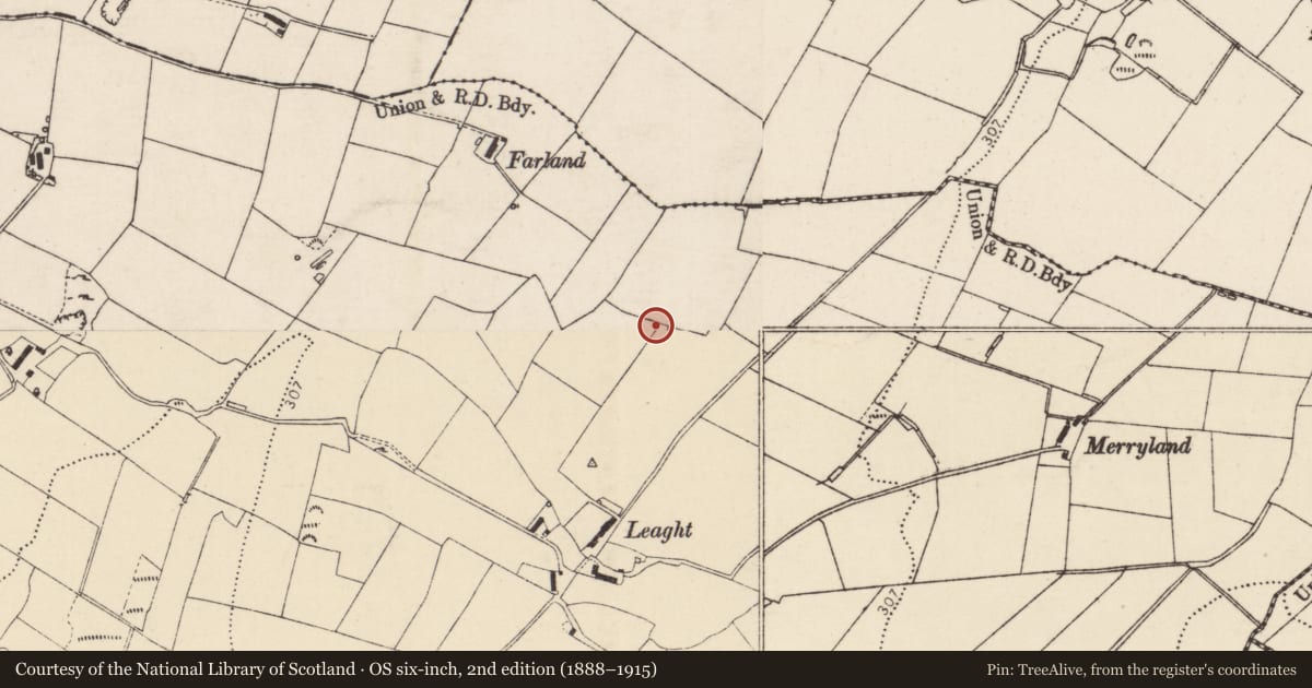 Ordnance Survey six-inch map, 2nd edition (1888–1915) covering the location of Standing stone, Leaght, County Donegal, with a pin at the register's coordinates