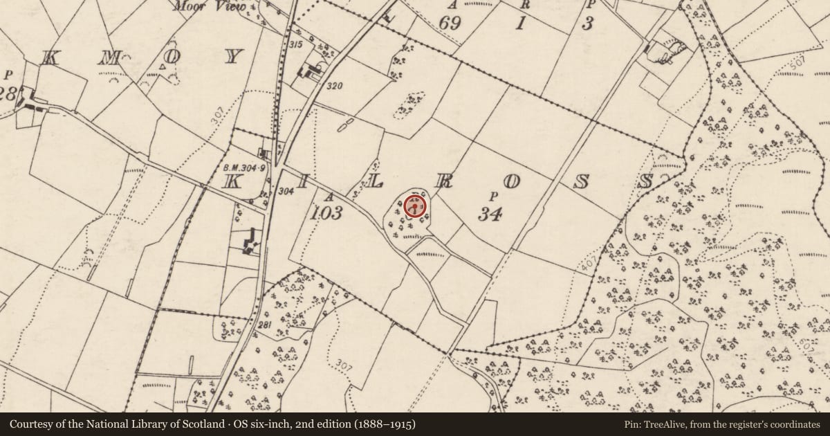 Ordnance Survey six-inch map, 2nd edition (1888–1915) covering the location of Ringfort - rath, Kilross, County Donegal, with a pin at the register's coordinates