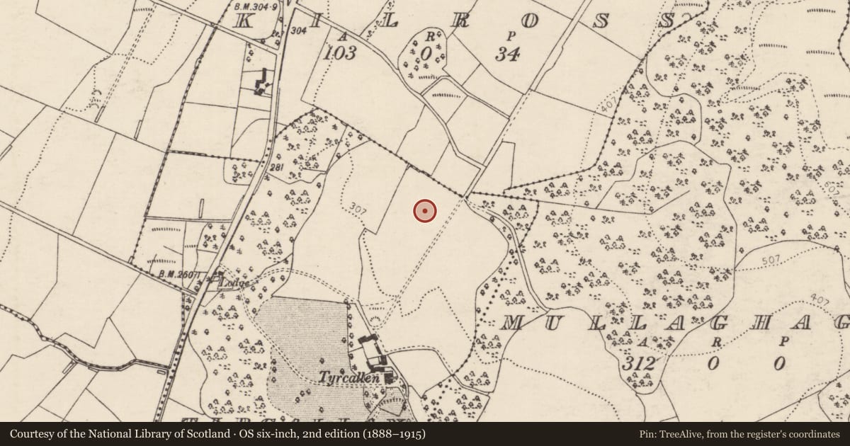 Ordnance Survey six-inch map, 2nd edition (1888–1915) covering the location of Ringfort - rath, Tircallan, County Donegal, with a pin at the register's coordinates