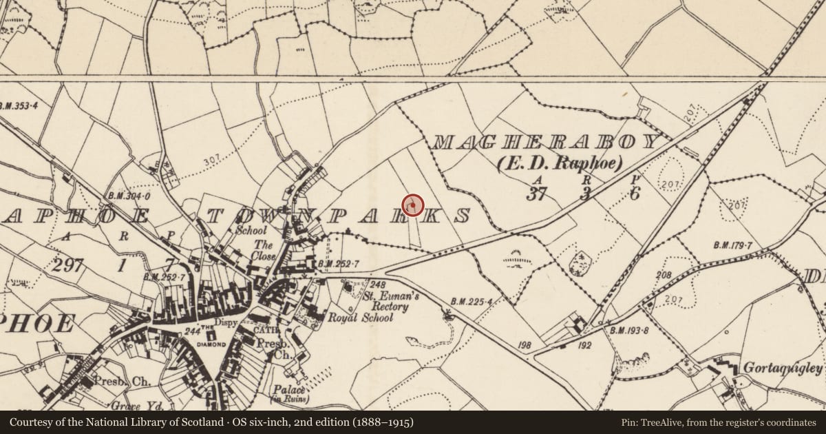 Ordnance Survey six-inch map, 2nd edition (1888–1915) covering the location of Standing stone, Raphoe Townparks, County Donegal, with a pin at the register's coordinates