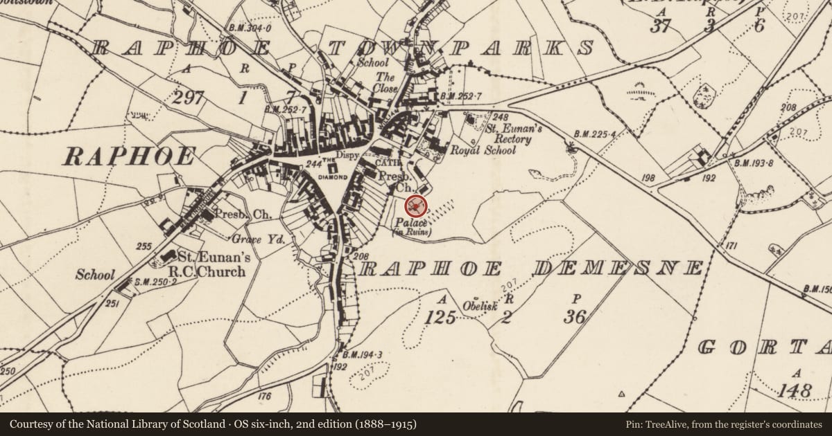 Ordnance Survey six-inch map, 2nd edition (1888–1915) covering the location of Armorial plaque, Raphoe Demesne, County Donegal, with a pin at the register's coordinates