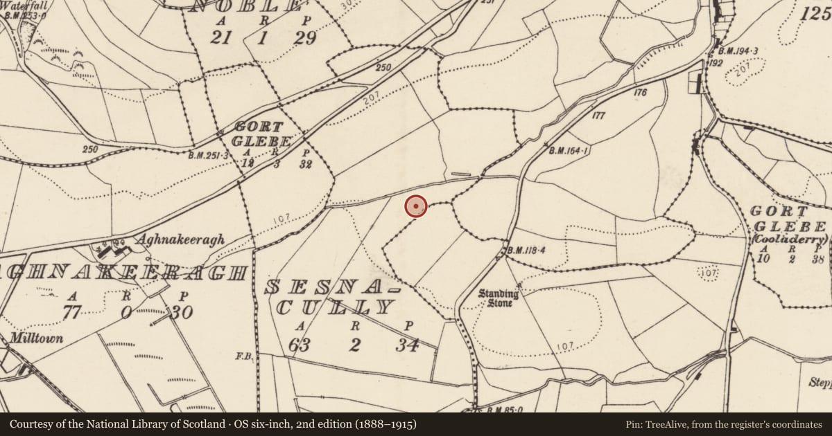 Ordnance Survey six-inch map, 2nd edition (1888–1915) covering the location of Standing stone, Sesnacully, County Donegal, with a pin at the register's coordinates