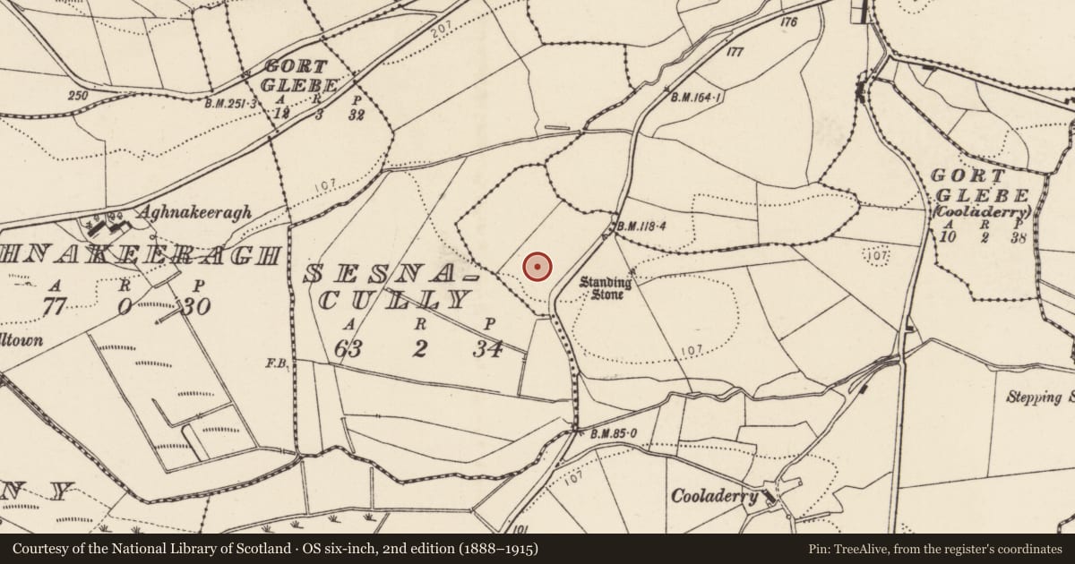 Ordnance Survey six-inch map, 2nd edition (1888–1915) covering the location of Standing stone, Cúl An Doire (TC Ráth Bhoth), County Donegal, with a pin at the register's coordinates