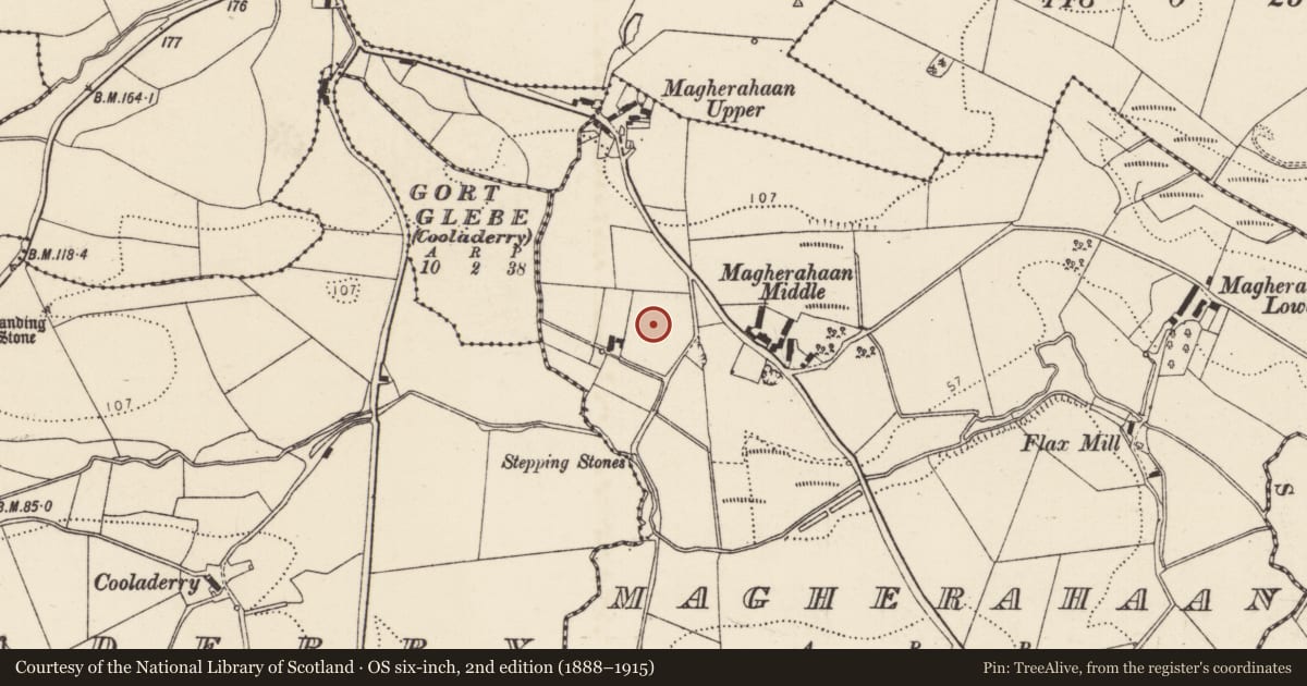 Ordnance Survey six-inch map, 2nd edition (1888–1915) covering the location of Standing stone, Magherahaan, County Donegal, with a pin at the register's coordinates