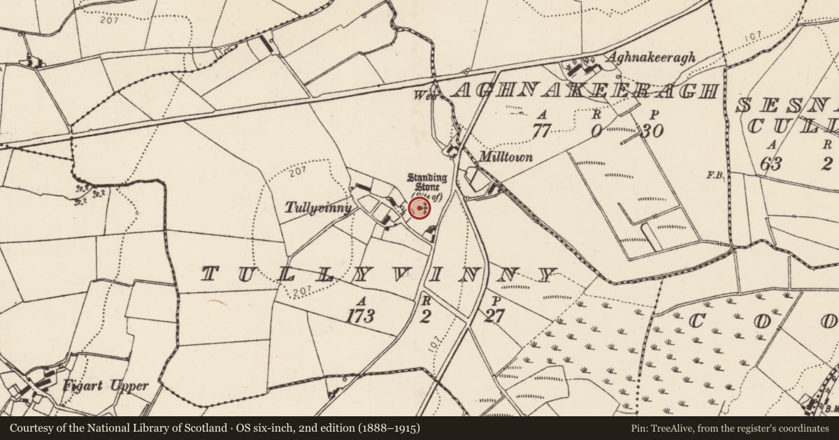 Ordnance Survey six-inch map, 2nd edition (1888–1915) covering the location of Standing stone, Tullyvinny, County Donegal, with a pin at the register's coordinates