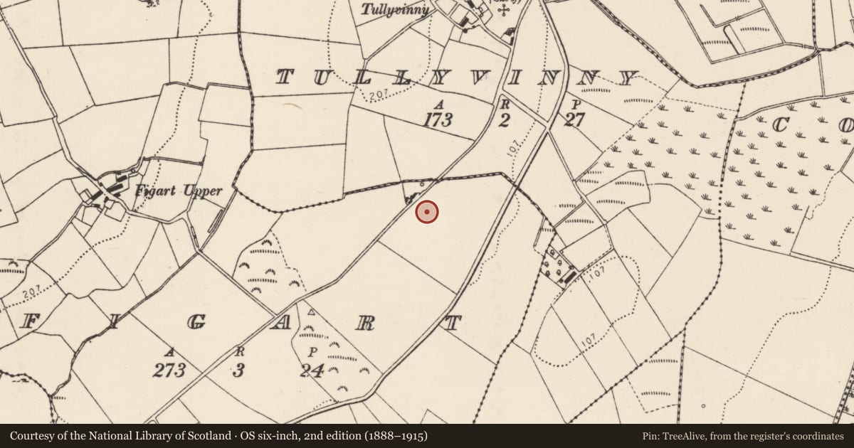 Ordnance Survey six-inch map, 2nd edition (1888–1915) covering the location of Standing stone, Figart, County Donegal, with a pin at the register's coordinates
