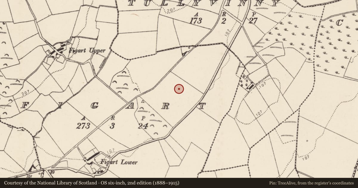 Ordnance Survey six-inch map, 2nd edition (1888–1915) covering the location of Standing stone, Figart, County Donegal, with a pin at the register's coordinates