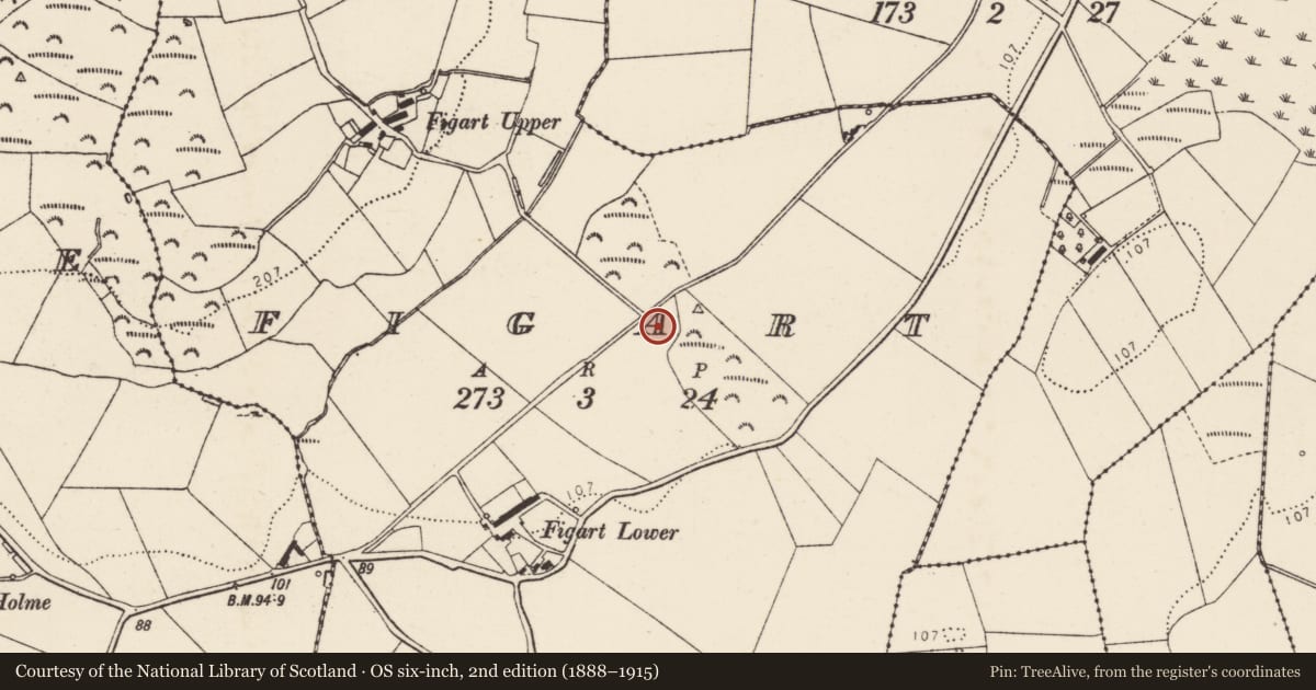 Ordnance Survey six-inch map, 2nd edition (1888–1915) covering the location of Souterrain, Figart, County Donegal, with a pin at the register's coordinates