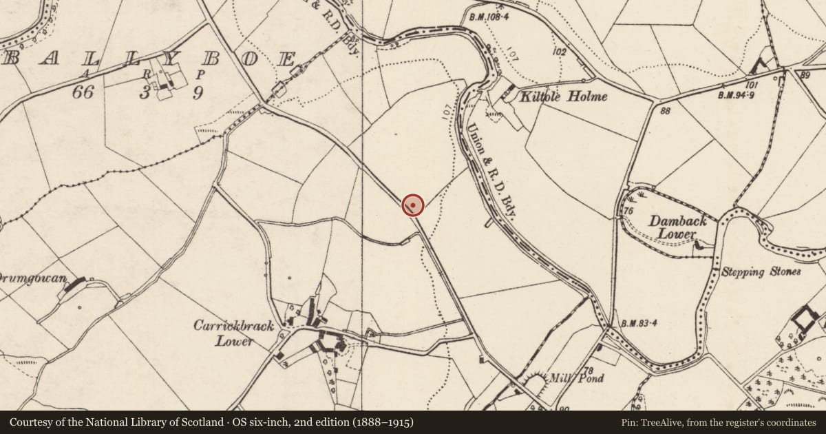 Ordnance Survey six-inch map, 2nd edition (1888–1915) covering the location of Cist, Carrickbrack, County Donegal, with a pin at the register's coordinates