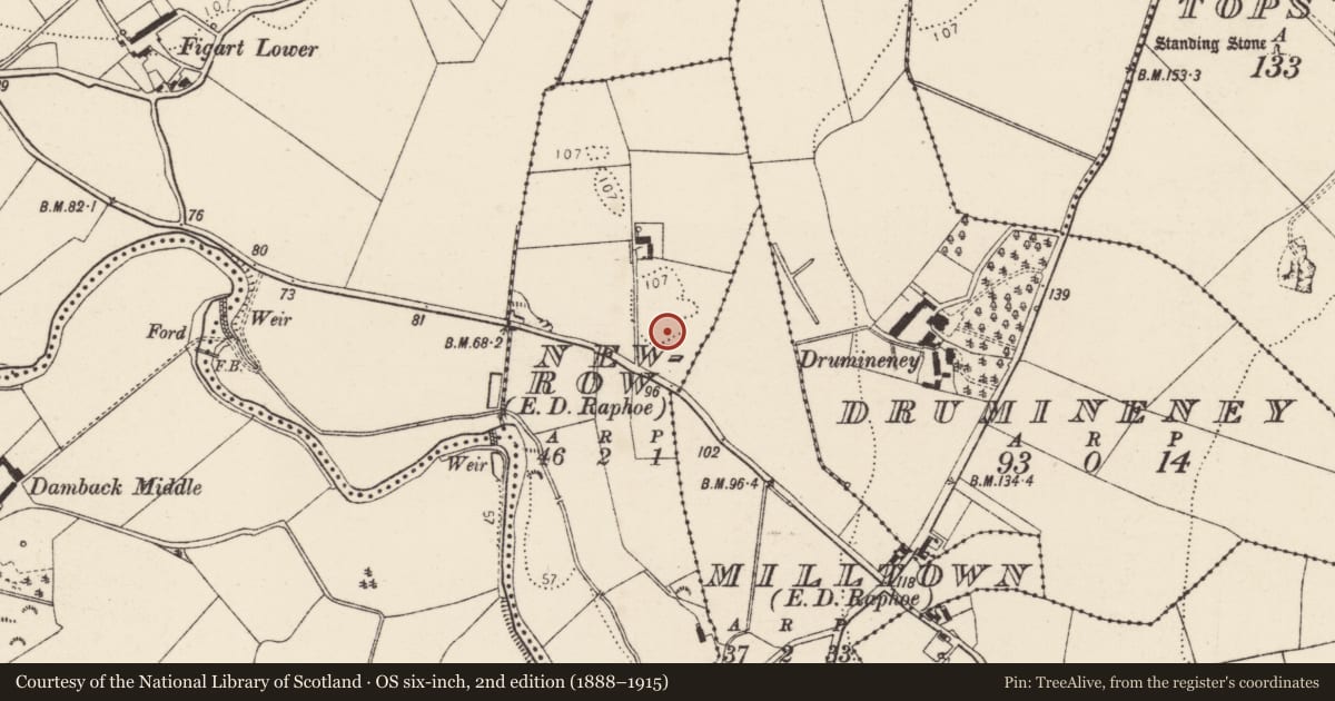 Ordnance Survey six-inch map, 2nd edition (1888–1915) covering the location of Ringfort - unclassified, Newrow, County Donegal, with a pin at the register's coordinates