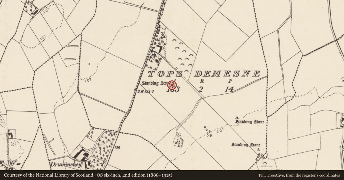 Ordnance Survey six-inch map, 2nd edition (1888–1915) covering the location of Standing stone, Tops Demesne, County Donegal, with a pin at the register's coordinates
